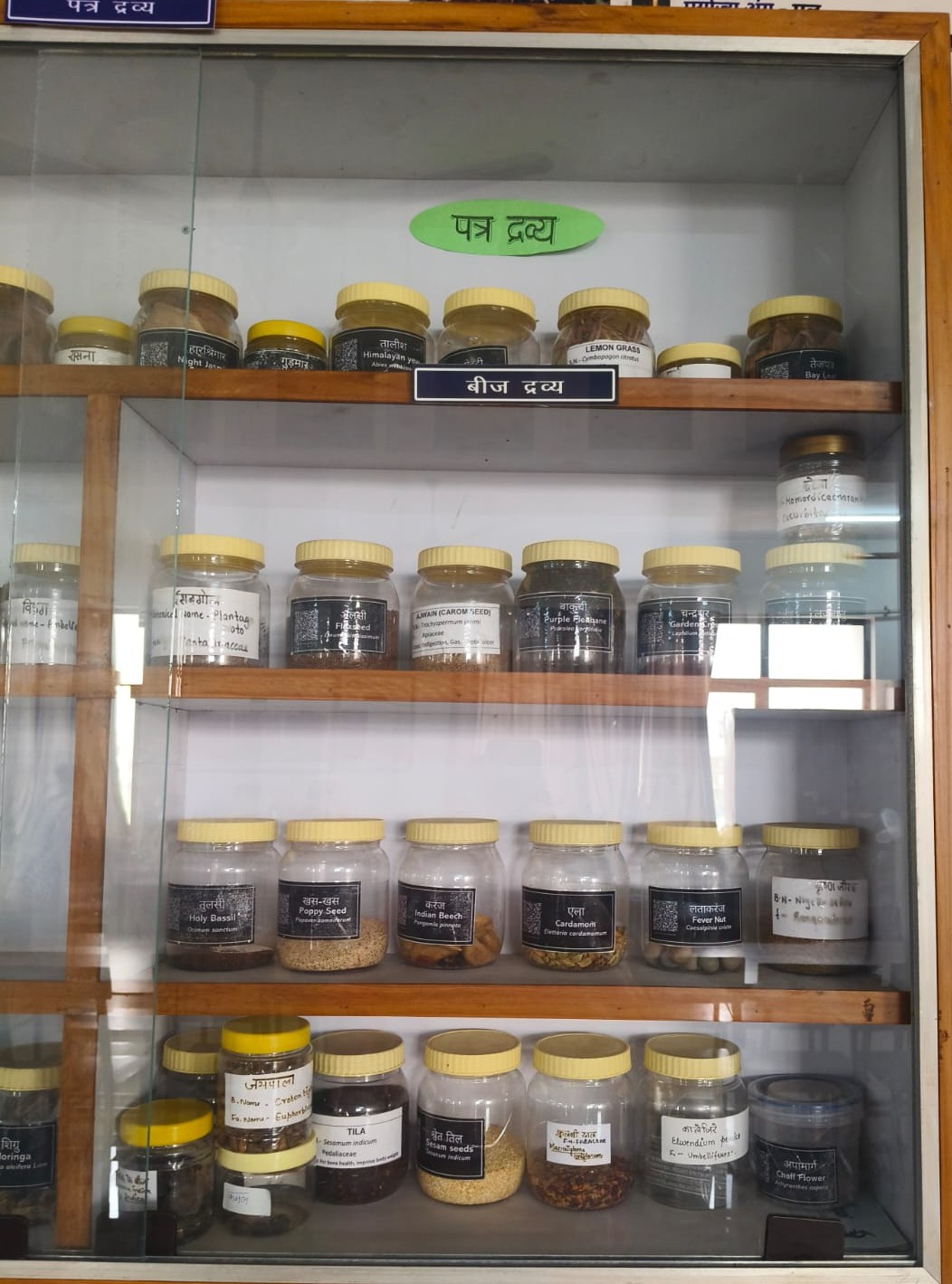 Department of Dravyaguna Vigyan - Key area 1